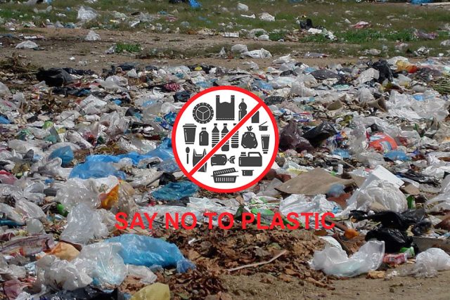 Thailand,-France-and-Mexico-strengthen-environmental-protection-with-plastic
