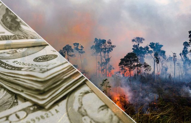 Top-investment-manager-says-climate-crisis-could-reshape-finance