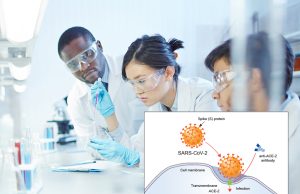 Angiotensin receptor blockers could be used to treat coronavirus, researchers say