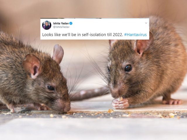 Another-pandemic-Fears-grow-as-China-reports-case-of-Hantavirus