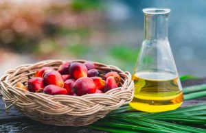 Malaysia maintains CPO export tax at 8% for July Malaysia maintains CPO export tax at 8% for July