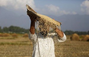 World food price index surges in May to the highest level since 2011 – FAO. food price to highest level-FAO