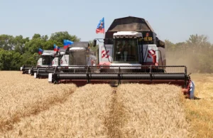 Ukraine war imperils wheat, but farmers are in no rush to pivot. Ukraine war imperils wheat, but farmers are in no rush to pivot.