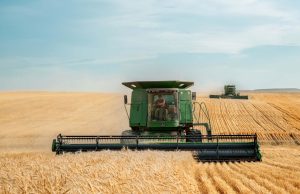 Food prices soar to record levels on Ukraine war disruptions Food prices soar to record levels on Ukraine war disruptions