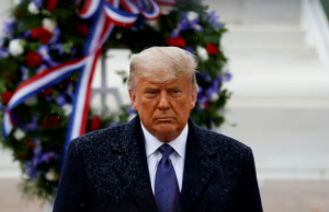 The Erosion of Democracy in the Shadow of Wealth Wealth in Politics