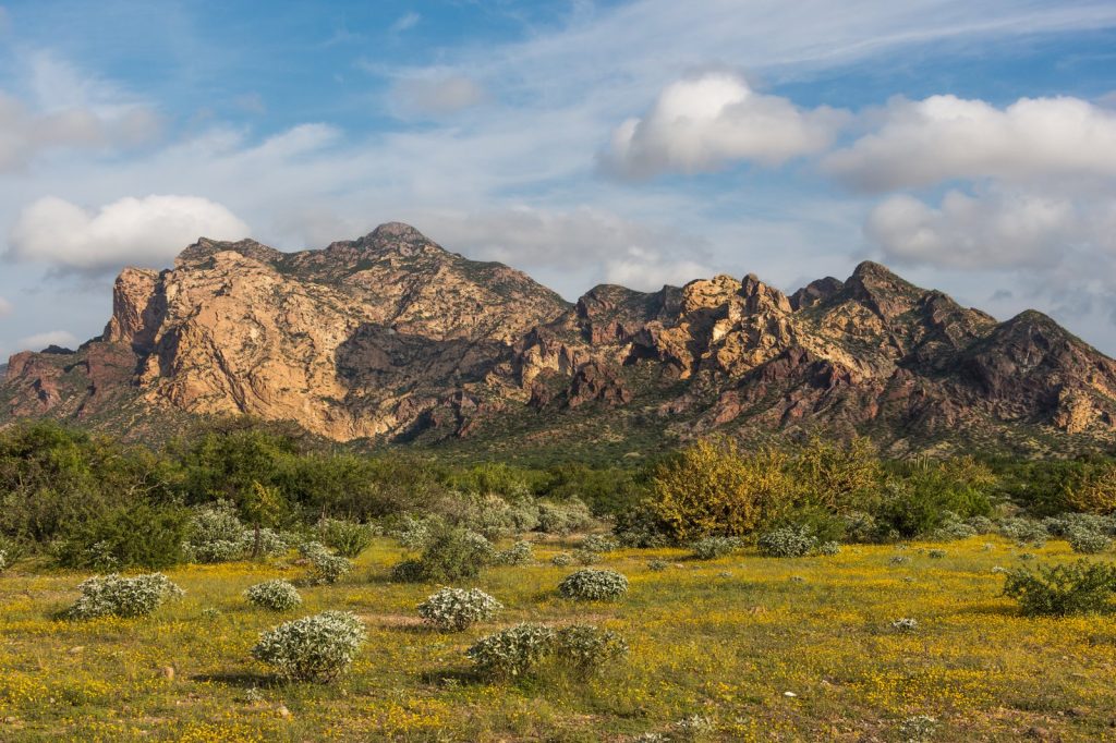 12 Gunmen Killed in Sonora Cartel Rescue Attempt