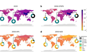 Hydrogen as a Climate Solution: Navigating the Environmental Impact and Future Scenarios
