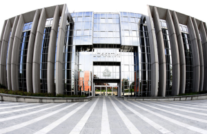 Southeast Asia Human Trafficking: A Lucrative Global Crisis Unveiled by Interpol