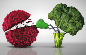 Unraveling the Connection Between Diet and Cancer Risk: A Novel Discovery