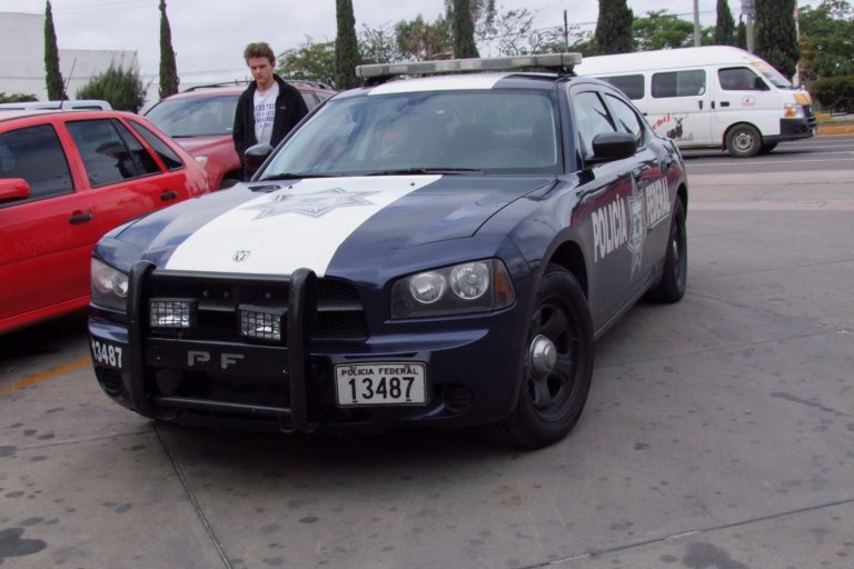 Two Police Officers Killed in Ambush on Mexican Highway 180D
