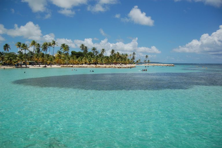 Car Rams Into Christmas Crowd in Guadeloupe, Injuring 19