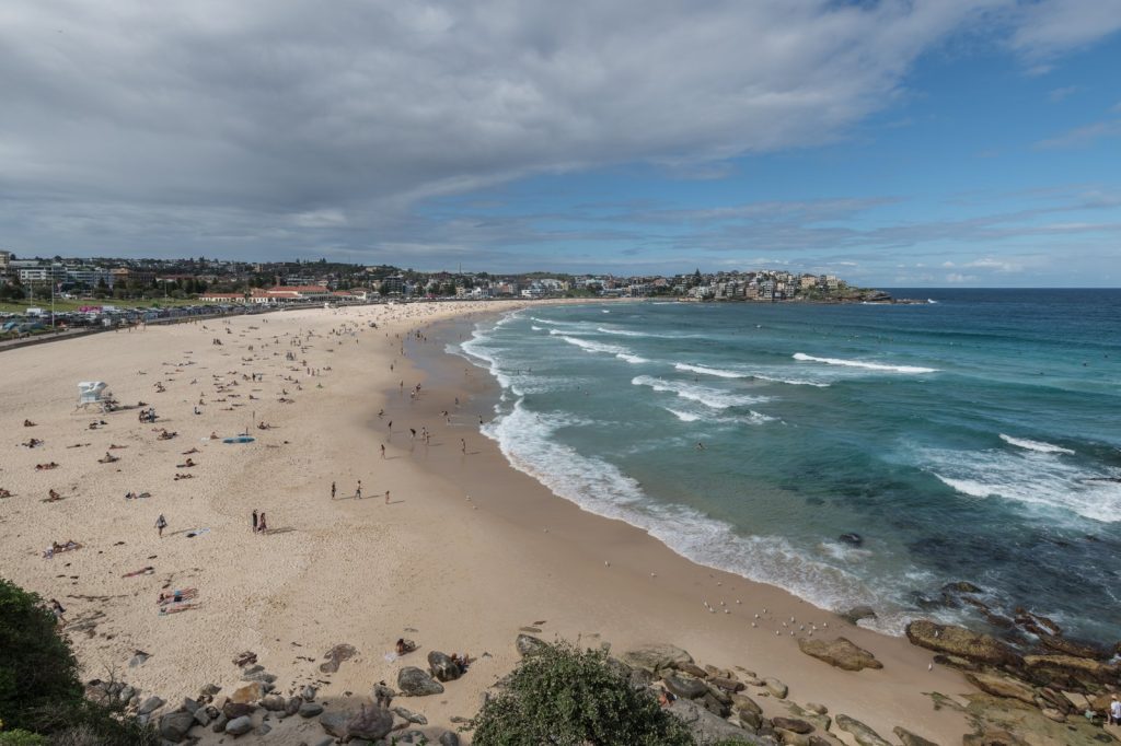 Bondi Beach Attack Kills 15, Child Among Dead