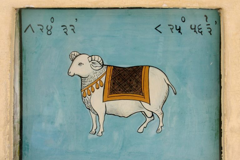 Tarot Forecast for 26 June 2026 Warns of Health Risks for Aries During Networking