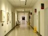 Roche Launches 7-Minute Lung Cancer Injection to Replace Hour-Long IV Drips Roche Launches 7-Minute Lung Cancer Injection to Replace Hour-Long IV Drips