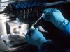 Montreal researchers identify molecular mechanism that sabotages cancer immunotherapy Montreal researchers identify molecular mechanism that sabotages cancer immunotherapy