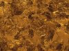 Ongwe Minerals’ Gold Anomaly Could Transform Namibia’s Mining Landscape Ongwe Minerals' Gold Anomaly Could Transform Namibia's Mining Landscape