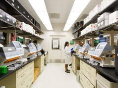 Base Editing of Human Embryos Shows Mixed Success in Precision Base Editing of Human Embryos Shows Mixed Success in Precision
