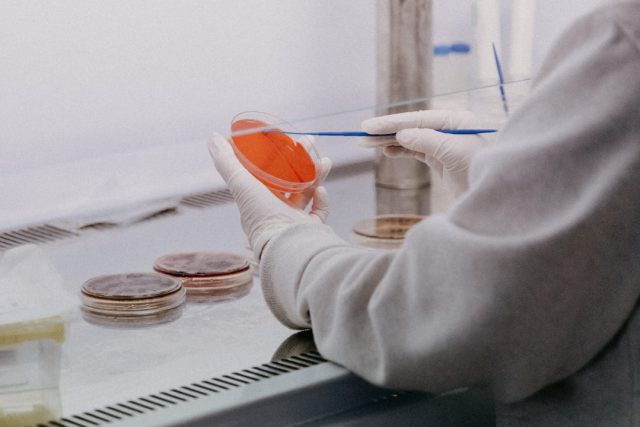 Illumina Completes Mandated Separation of Cancer Detection Firm GRAIL A scientist in a lab coat examines a blood sample for the Galleri multi-cancer detection test.