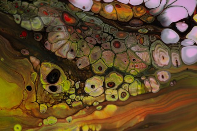 Stem Cell Research Offers New Insights into Causes of Early Miscarriage A researcher examines a synthetic embryo-like structure under a microscope in a laboratory setting.