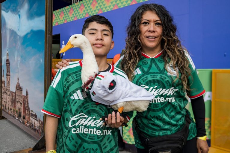 Mexico City duck Merlín charms locals and World Cup fans