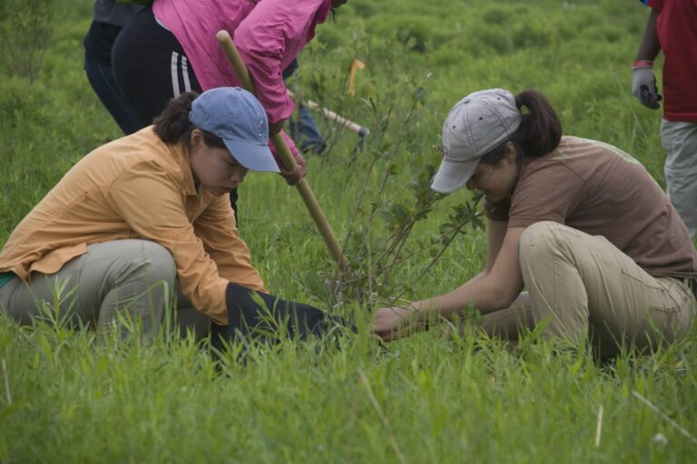 UBA Foundation recommits to youth environmental awareness
