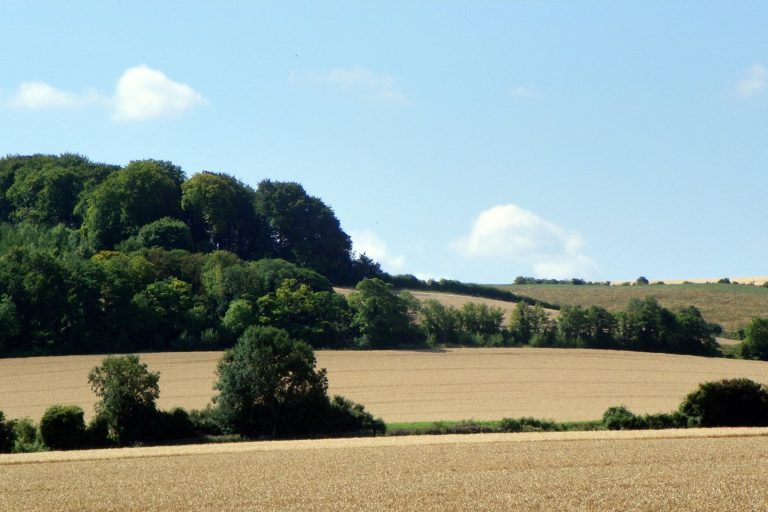 Grindr Blackmail Scam Linked to Multiple Hertfordshire Cases