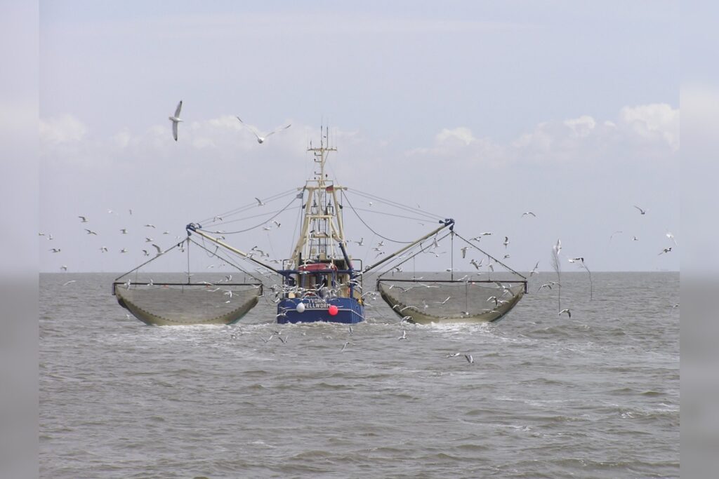 Fishing Boat