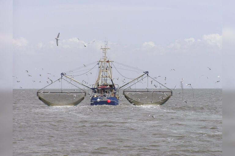 Philippines Ends Search for 13 Capsized Fishing Crew