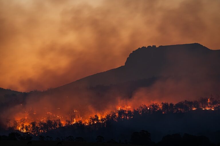 Limassol Arson Kills Two, Forces Hundreds to Flee Cyprus City