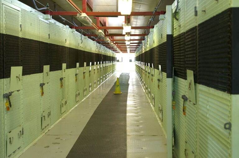 Three Inmates Killed in Violent Prison Fight in Georgia Facility