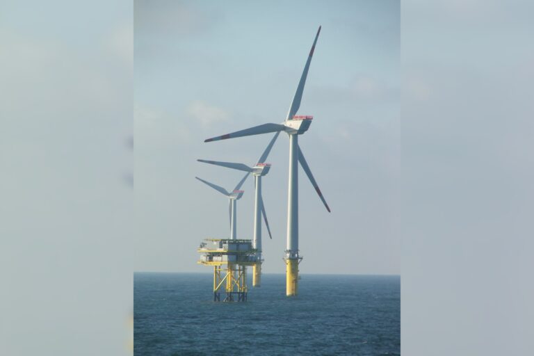 California, New York Sue Trump Administration Over Offshore Wind Lease Buybacks