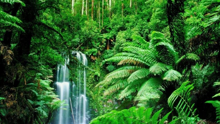 Nature Is Everything