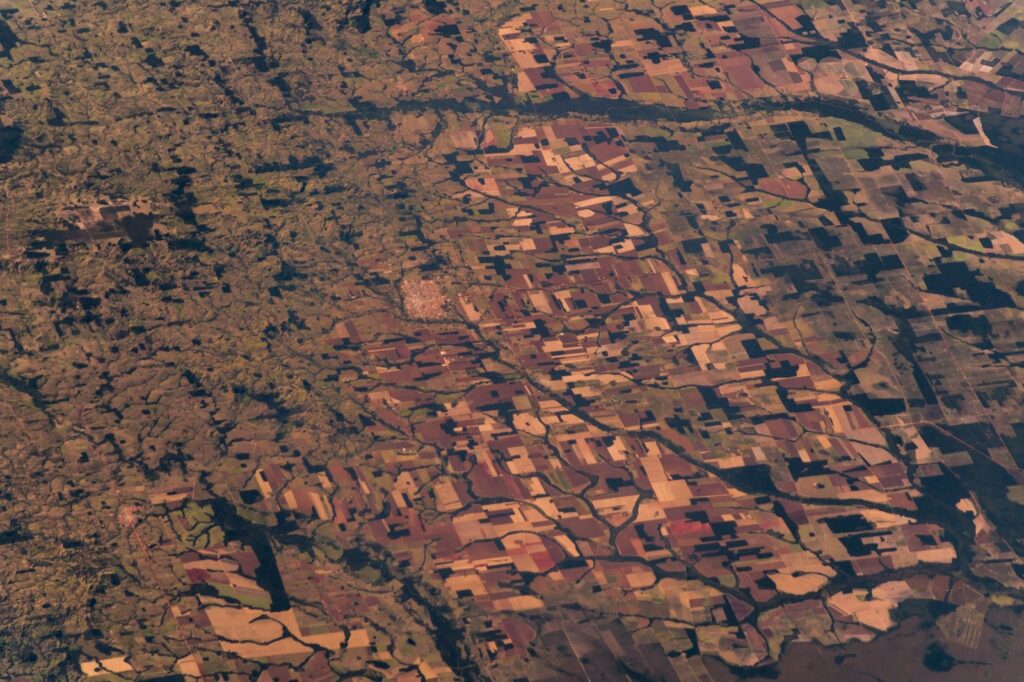 Criminal Networks Use Coercion and Corruption to Fuel Illegal Amazon Exploitation
