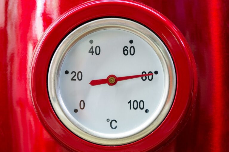 Why Hot Cars Kill Infants in Minutes: The Physics and Physiology Behind Rapid Heatstroke