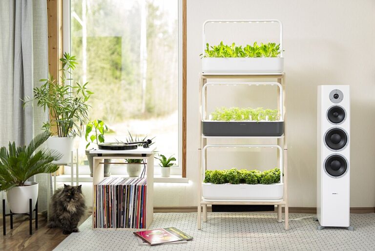 How to Build a Year-Round Indoor Herb Garden on a Budget: Proven Tips, Light Needs, and Costs Revealed
