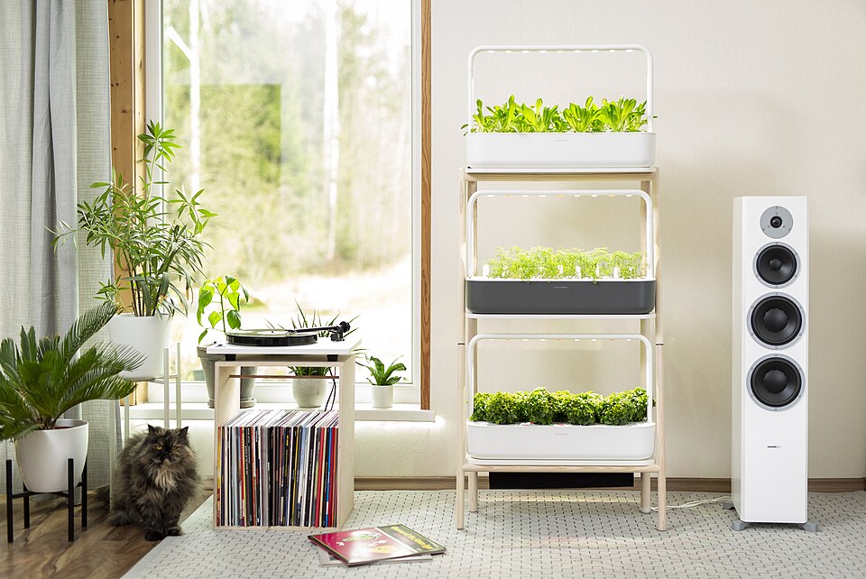 Indoor Herb Garden Setup